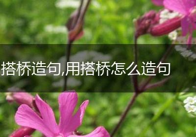 搭桥造句,用搭桥怎么造句
