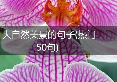 大自然美景的句子(热门50句)