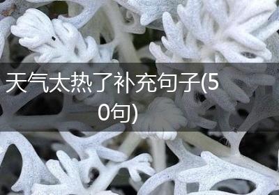 天气太热了补充句子(50句)