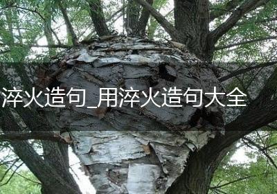 淬火造句_用淬火造句大全