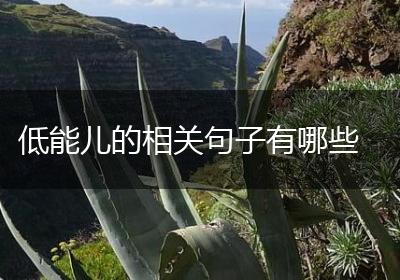 低能儿的相关句子有哪些