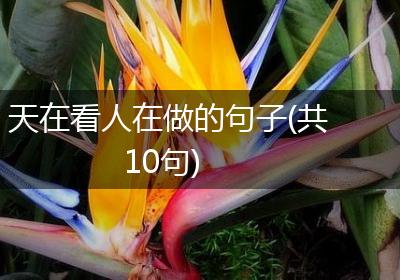 天在看人在做的句子(共10句)