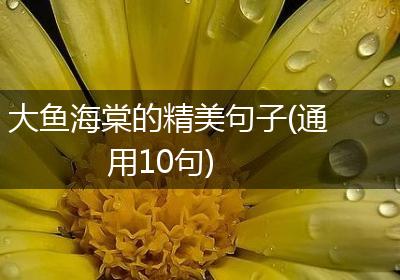 大鱼海棠的精美句子(通用10句)