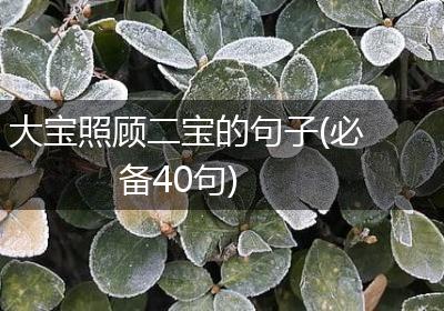 大宝照顾二宝的句子(必备40句)