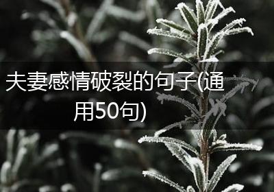 夫妻感情破裂的句子(通用50句)