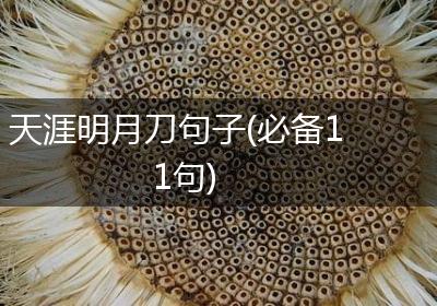 天涯明月刀句子(必备11句)