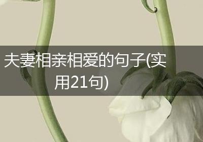 夫妻相亲相爱的句子(实用21句)