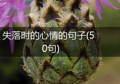 失落时的心情的句子(50句)