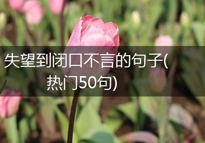 失望到闭口不言的句子(热门50句)