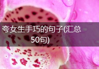 夸女生手巧的句子(汇总50句)