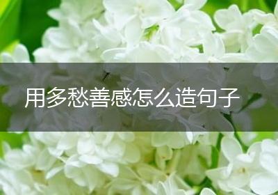 用多愁善感怎么造句子