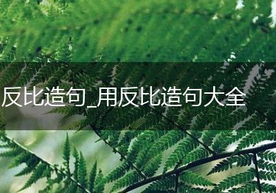 反比造句_用反比造句大全