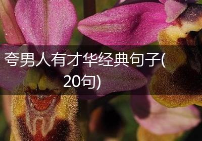 夸男人有才华经典句子(20句)