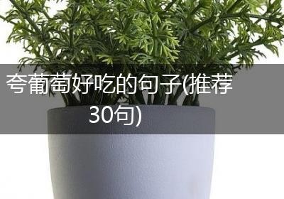 夸葡萄好吃的句子(推荐30句)