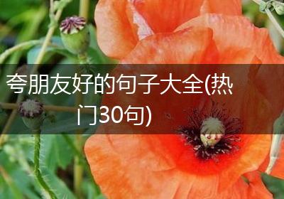 夸朋友好的句子大全(热门30句)