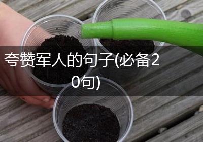夸赞军人的句子(必备20句)