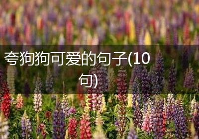 夸狗狗可爱的句子(10句)