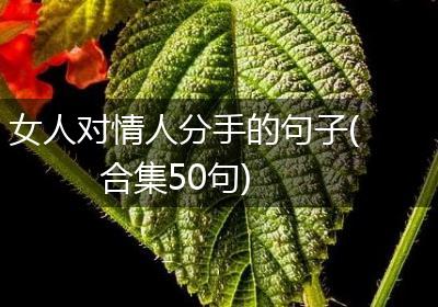 女人对情人分手的句子(合集50句)