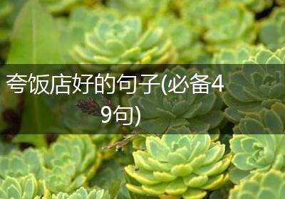 夸饭店好的句子(必备49句)