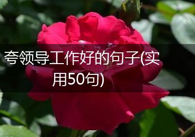 夸领导工作好的句子(实用50句)
