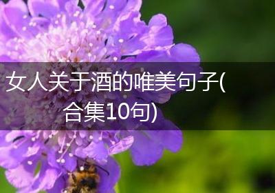 女人关于酒的唯美句子(合集10句)