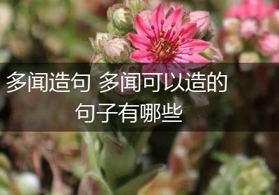 多闻造句 多闻可以造的句子有哪些