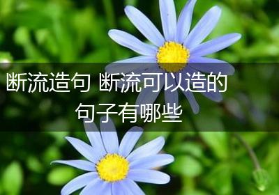 断流造句 断流可以造的句子有哪些