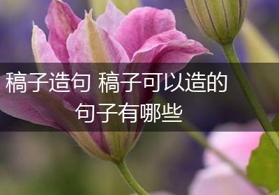 稿子造句 稿子可以造的句子有哪些