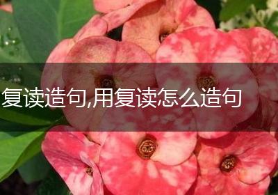 复读造句,用复读怎么造句
