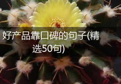 好产品靠口碑的句子(精选50句)