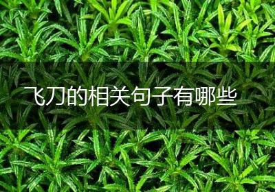 飞刀的相关句子有哪些