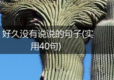 好久没有说说的句子(实用40句)