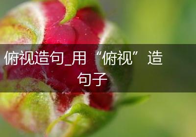 俯视造句_用“俯视”造句子