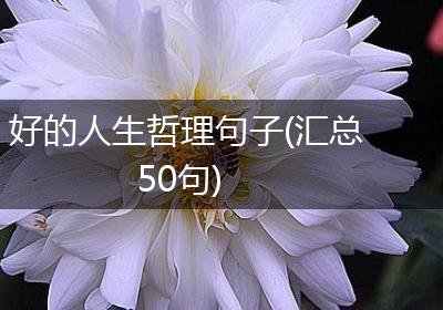 好的人生哲理句子(汇总50句)