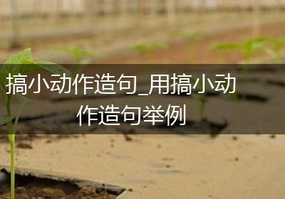 搞小动作造句_用搞小动作造句举例