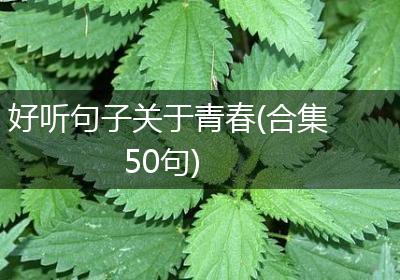 好听句子关于青春(合集50句)