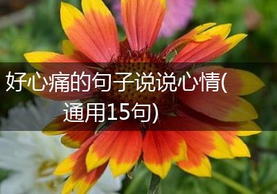 好心痛的句子说说心情(通用15句)