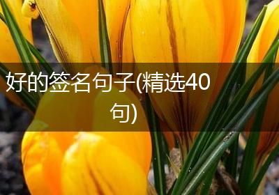 好的签名句子(精选40句)