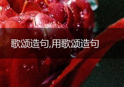 歌颂造句,用歌颂造句