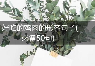 好吃的鸡肉的形容句子(必备50句)