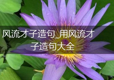 风流才子造句_用风流才子造句大全