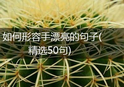 如何形容手漂亮的句子(精选50句)