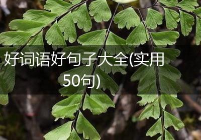 好词语好句子大全(实用50句)