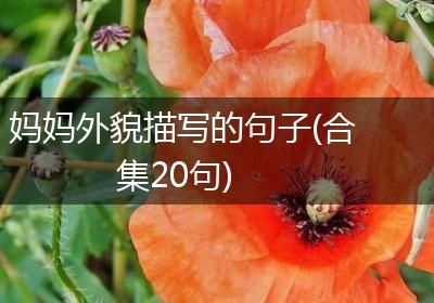 妈妈外貌描写的句子(合集20句)