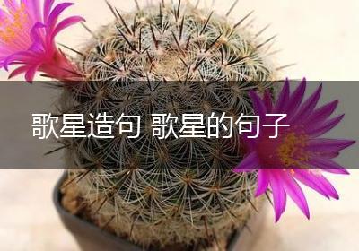 歌星造句 歌星的句子