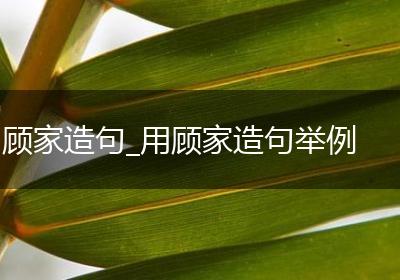 顾家造句_用顾家造句举例