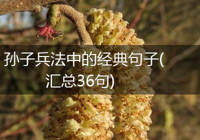孙子兵法中的经典句子(汇总36句)