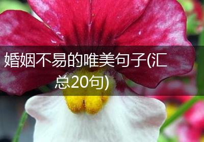 婚姻不易的唯美句子(汇总20句)