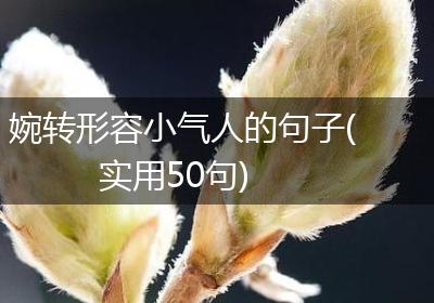 婉转形容小气人的句子(实用50句)