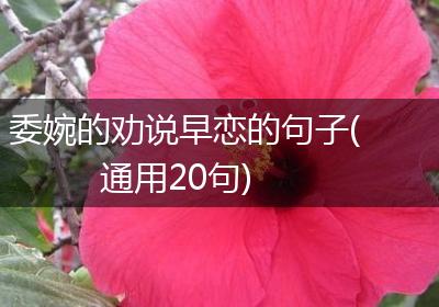 委婉的劝说早恋的句子(通用20句)